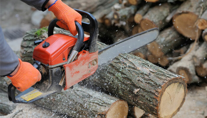 6 mistakes to avoid when buying a chainsaw
