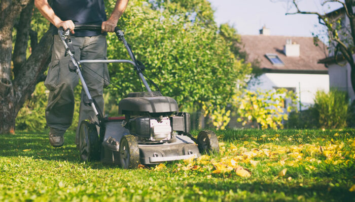 6 yard maintenance hacks that are not effective
