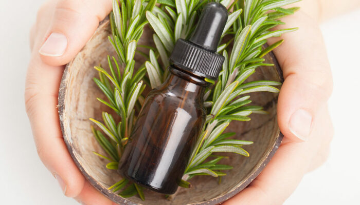 8 fragrant plants that repel ticks