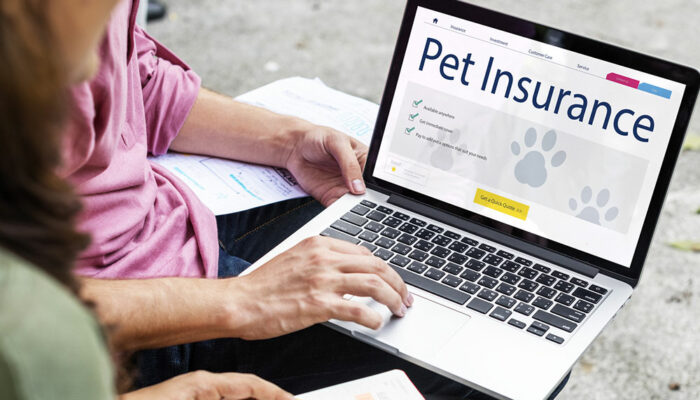 5 important things to know before buying pet insurance